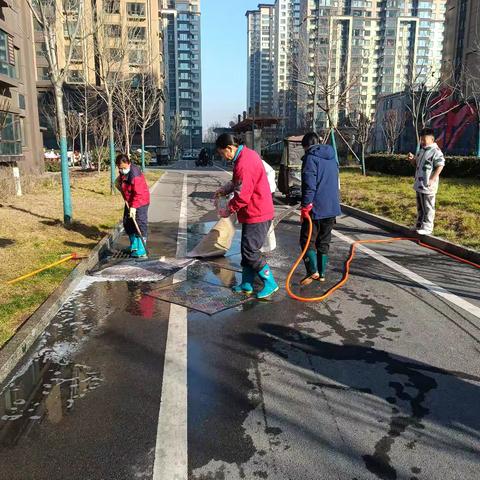情暖新年 物业献爱 清洗地毯