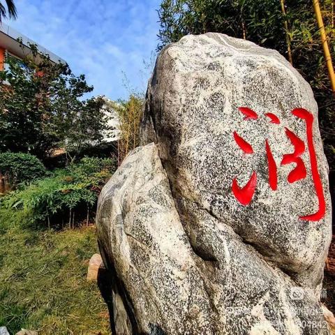 悠悠社团情，寸寸少年梦