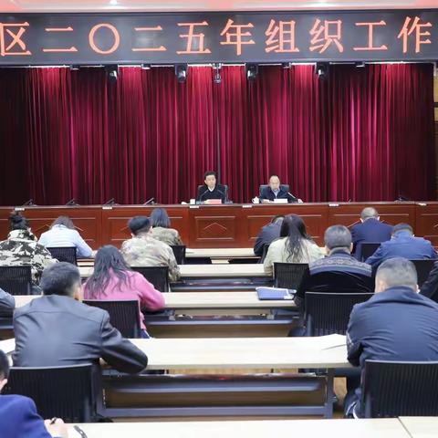全区2025年度组织工作会议召开