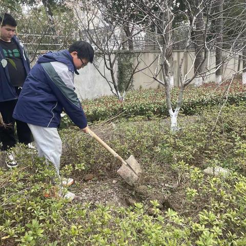 手植一抹新绿，播撒梦想种子 ——旧馆中学702班植树种花活动