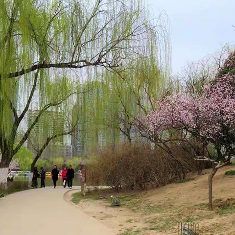 收获成长，共筑未来        岳村小学开学典礼表彰大会