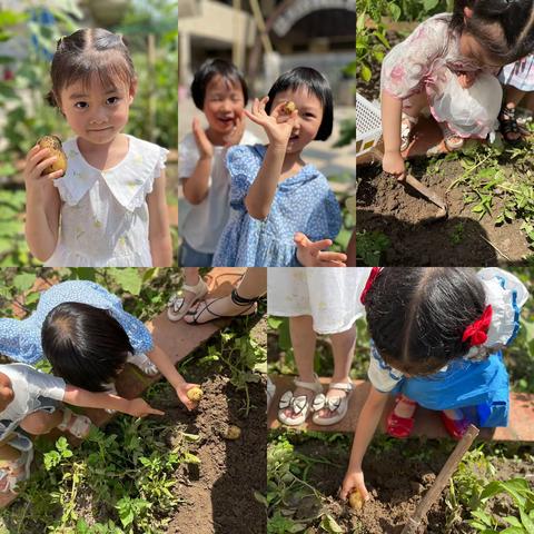 快乐双雨幼儿园小二班——美食制作《炸薯条》