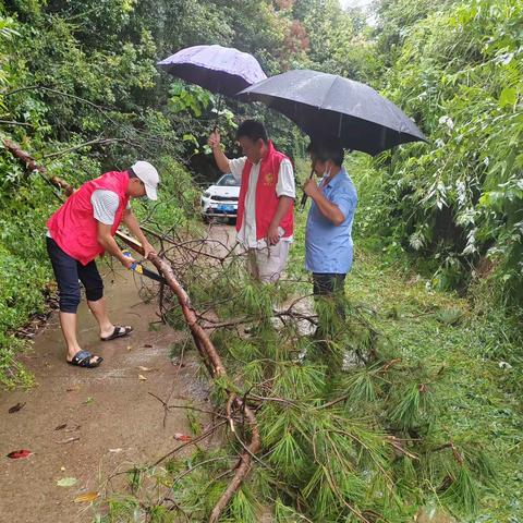 【我为群众办实事】雨中齐心清路障 志愿服务保平安