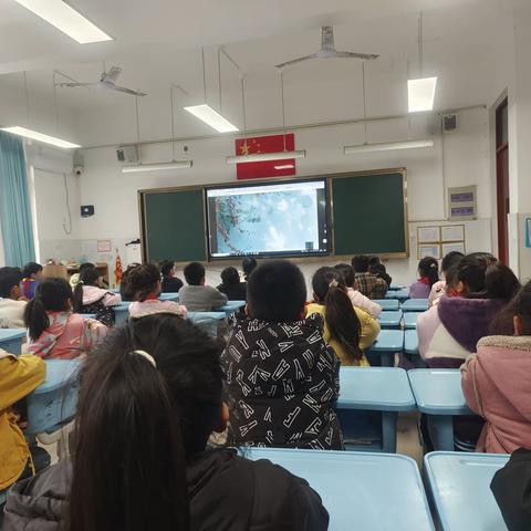 【桥见未来·卫生防疫】学校是我家，卫生靠大家