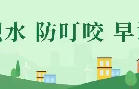 预防基孔肯雅热，筑牢校园健康防线——“基孔肯雅热”预防知识宣传