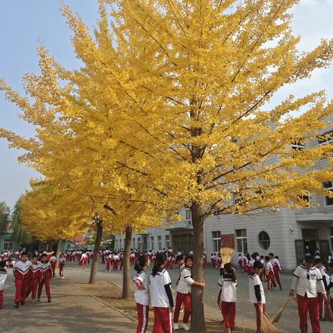 不负时光，勤耕新程 ——2023年秋岫光小学落实“双新”，聚焦“双减”校本教研活动