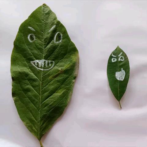 水晶苑幼儿园中二班第十周精彩瞬间