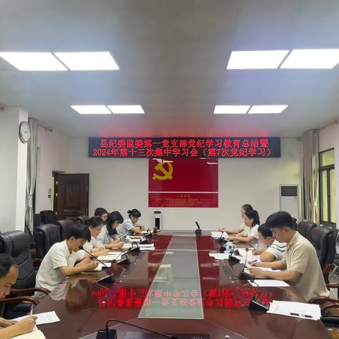 县纪委监委第一党支部党纪学习教育总结暨2024年第十三次集中学习会（第7次党纪学习）