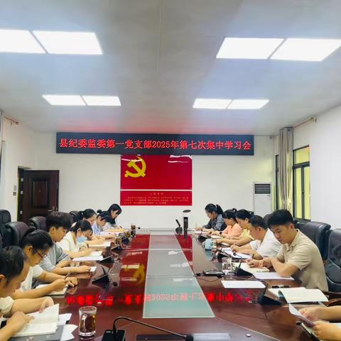 县纪委监委第一党支部召开2025年第七次集中学习会
