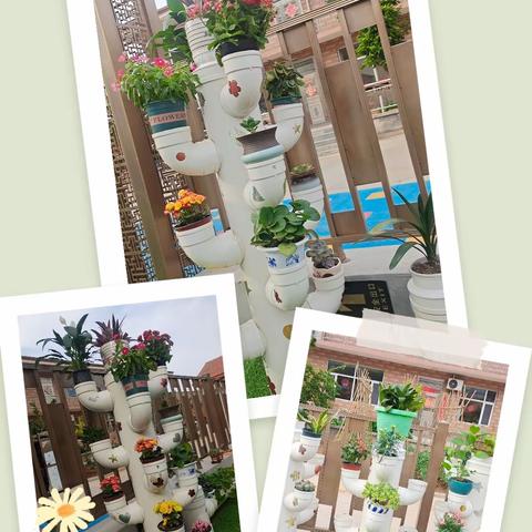 六月，是童年的摇篮，是童年的太阳 六月，有童年的沃土，有童年的太阳🌞。 六月，是一支歌话筒，一支幸福的歌， 今天我们迈着喜悦的步子，相聚在一起，共同庆祝这份美好的日子舞蹈、情景剧、等才艺展示精彩纷呈。