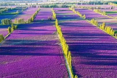 7月暑假大美新疆——赛里木湖-夏塔古道-中天山草原-那拉提-独库公路10日自由行