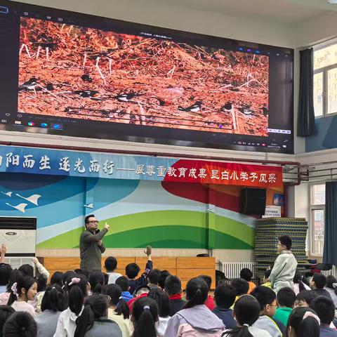 守护天空的精灵：从北京雨燕到世界的翅膀——五年级鸟类科普讲座侧记