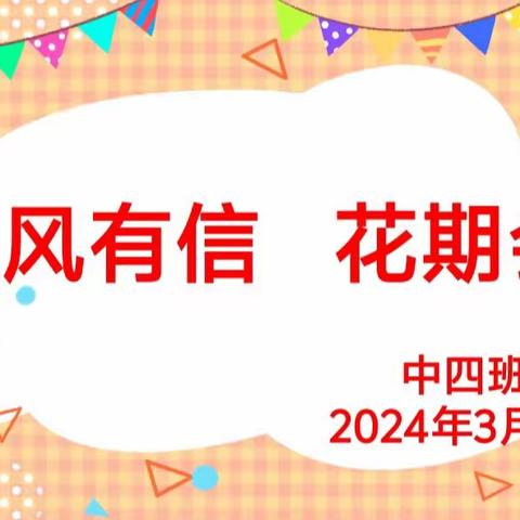 春风有信  花期会开 ——北关幼儿园中四班