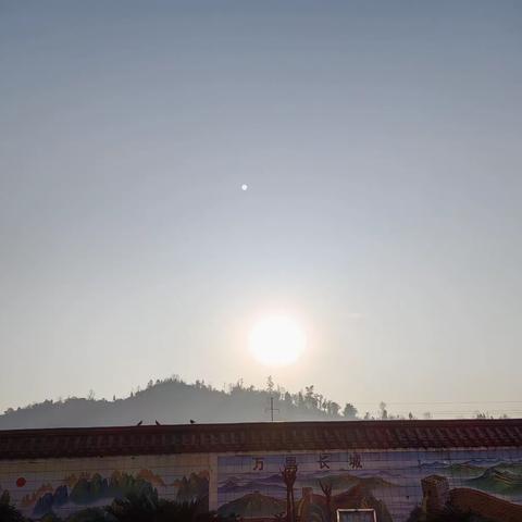 闲庭独步
