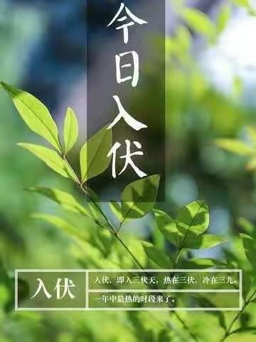 育朵儿幼儿园大班——《今日入伏》