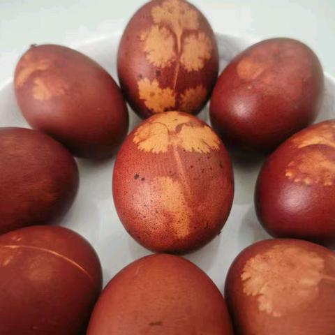 清明·花草蛋——合峪镇中心幼儿园中一班清明节特色活动