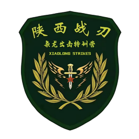 🇨🇳 2025 陕西战刃 枭龙出击特训营🇨🇳