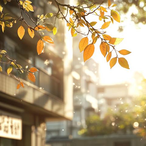 【上高玉诚环境工程有限公司2024年11月10日——11月16日作业周报】