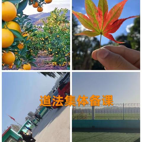 德法润心田 教研促成长 ——记矿坑镇中心小学全镇道德与法治教师集体备课活动