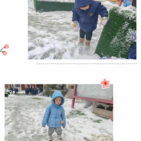 ❄️邂逅冬雪，满园同乐⛄️