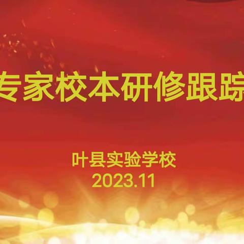 博学助力校本研修，智慧承载专业成长——河大专家校本研修跟踪指导活动纪实