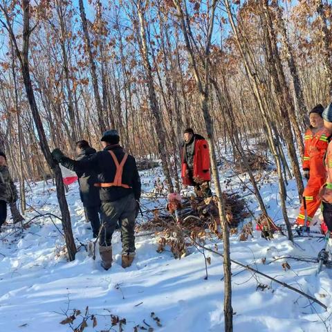 披星戴月战严寒 全力以赴促生产 ——跃进林场积极组织职工参加冬季森林抚育工作