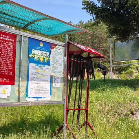 科学防控除虫害，匠心守护绿林海——跃进林场打响林业虫害防治保卫战