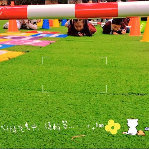 三月第二周周小结