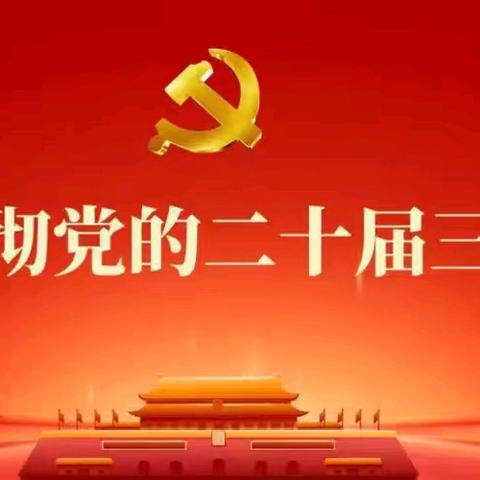 保卫武装部举行学习贯彻党的二十届三中全会精神宣讲报告会