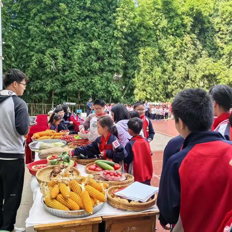 科技活动+劳动实践：新华中心学校的特色融合之路