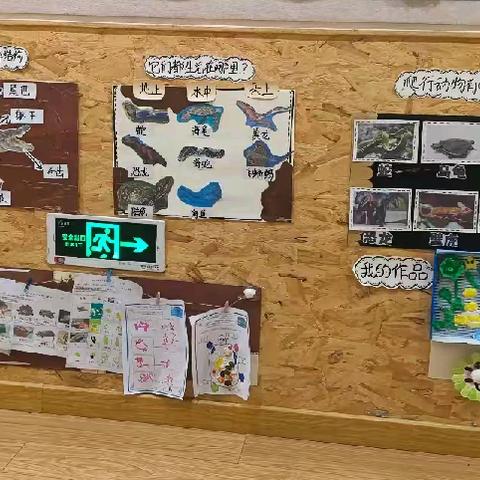 中班主题活动《小乌龟》