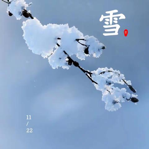 轻盈小雪 冬意渐浓—大二班 二十四节气之小雪活动