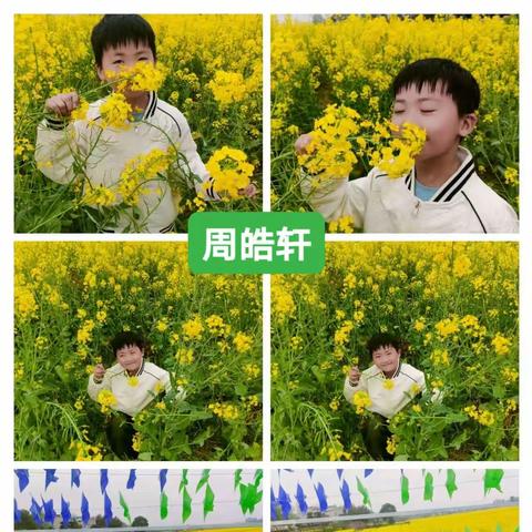 【历经铺中小一年级】第5周素质作业展——找春天