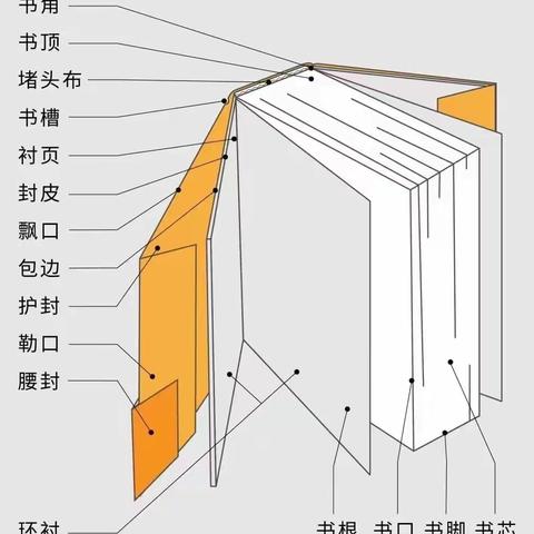 奇妙的书遇之旅