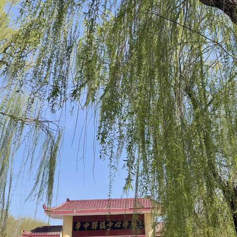 藏在校园里的春