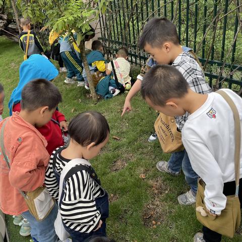 你好，蘑菇君！——重庆市武隆区凤溪幼儿园大三班班本课程