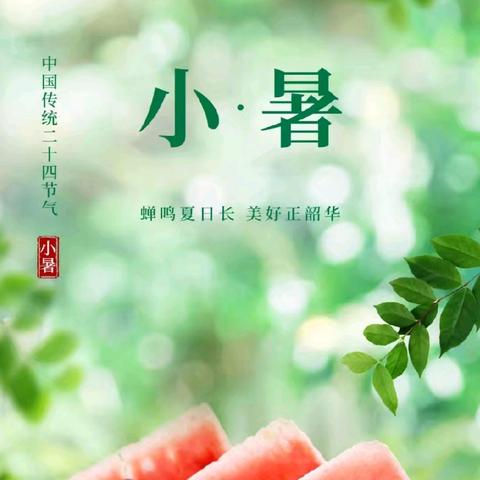 小暑至·盛夏始      星河宝贝幼儿园大一班二十四节气《小暑》