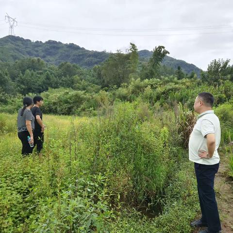 实地勘察治撂荒，保护耕地促振兴