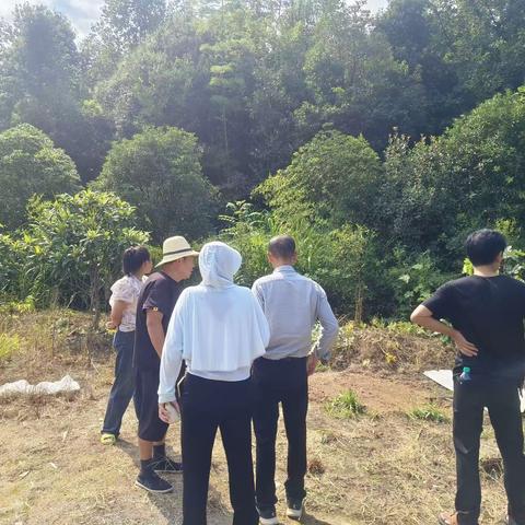 严守耕地红线 助力耕地恢复