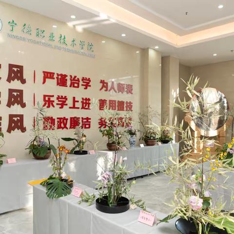 雏鹰展翅探职院 ‍研学路上趣无穷