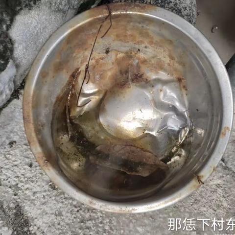 那大镇那恁村委会开展“加强防蚊灭蚊预防登革热”的宣传活动