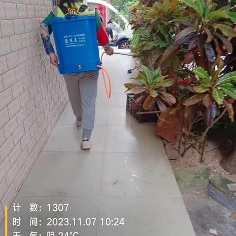 那大镇那恁村委会开展“巩卫”卫生整治工作