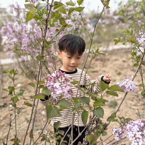 黎城紫丹幼儿园芽芽二班——帅气的李亦涵