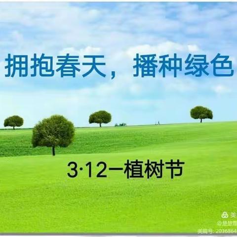 “亲近大自然 守护一片绿”—湖西农场中心幼儿园中一班植树节主题活动