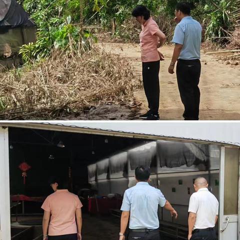 支援灾后重建 市科协在行动