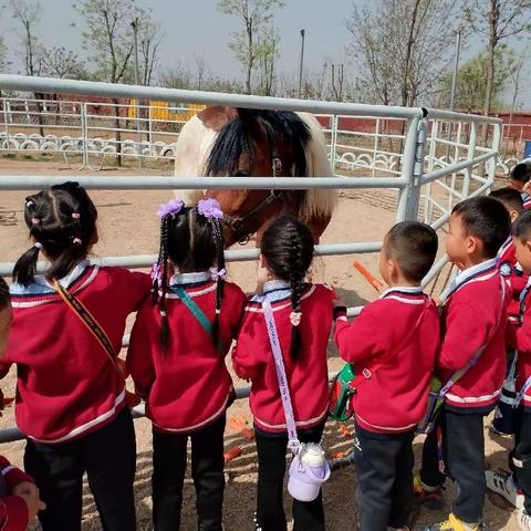 “童"你一起🧸快乐成长🌷【贝恩迎西园】中二班行走集锦📷