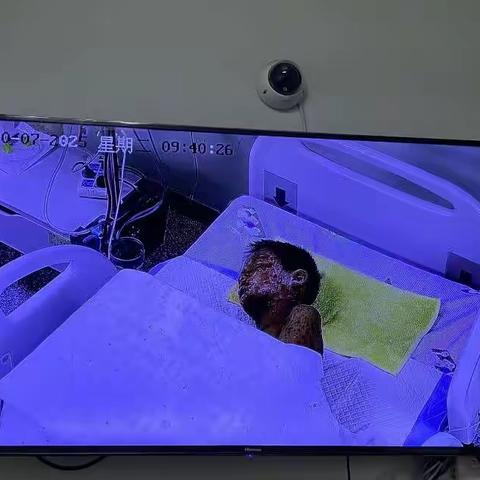 微光如炬，温暖你我 ——张塝实验小学陈广校区爱心募捐活动