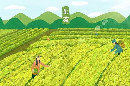 涧池镇梦飞幼儿园【一起“采茶”趣】春茶研学活动