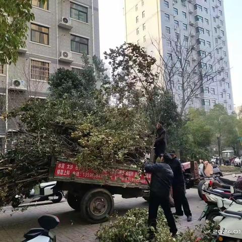 新华路街道桐和社区开展“双节”爱国卫生病媒生物防治工作