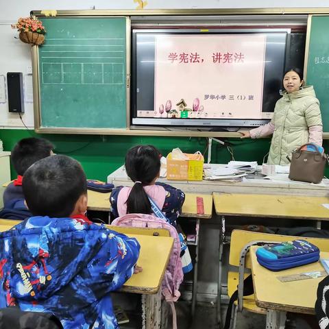 罗华中心小学“宪法宣传周”主题教育活动